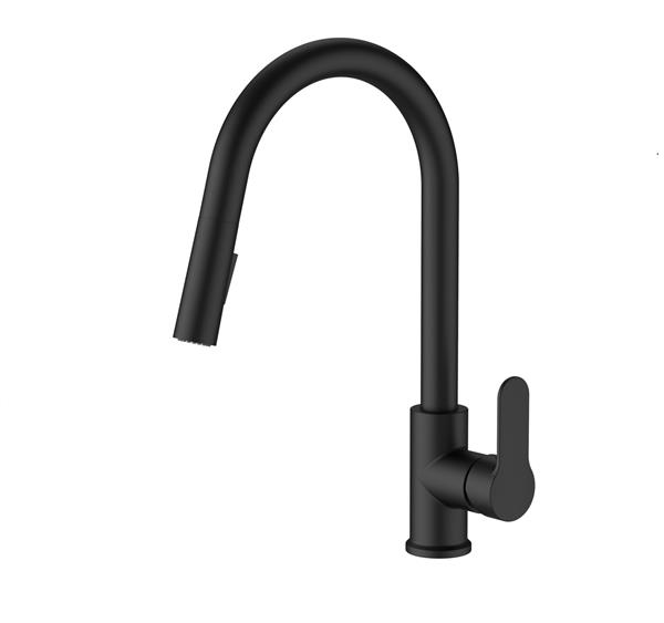 Bien Pull Down Kitchen Mixer - Matt Black