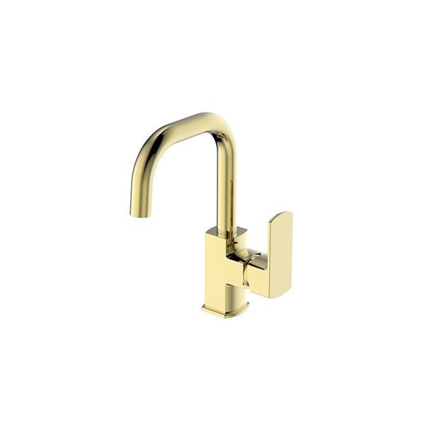 Bien Salvo Basin Mixer with spout Gold