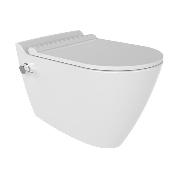 WALL HUNG WC PANS 52cm NO-RIM CONCEALED FIXING EASYWASH